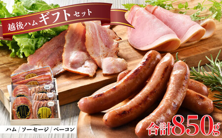 ハム 国産 越後もち豚 ハム ベーコン ソーセージ 5種 詰め合わせ ハム ギフトセット 越後ハム 贈答 お中元 お歳暮 ギフト 熨斗 包装 指定日 お祝い 父の日 人気 おすすめ ベーコン 新発田市 J54 11,100円