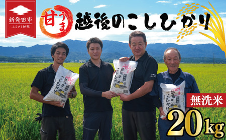 無洗米 コシヒカリ 20kg 新潟産 令和7年産 無洗米 toushin033