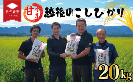 新潟産 コシヒカリ 20kg 令和7年産 甘うま越後のこしひかり コシヒカリ 白米 toushin034
