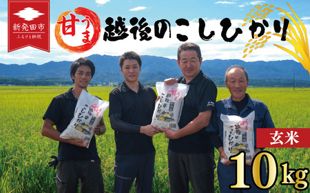 新潟産 コシヒカリ 玄米 10kg 令和7年産 甘うま越後のこしひかり コシヒカリ 玄米 toushin032