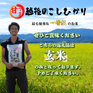 新潟産 コシヒカリ 玄米 10kg 令和7年産 甘うま越後のこしひかり コシヒカリ 玄米 toushin032
