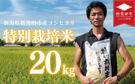 新潟産 特別栽培米 コシヒカリ 玄米 20kg 令和7年産 コシヒカリ toushin027
