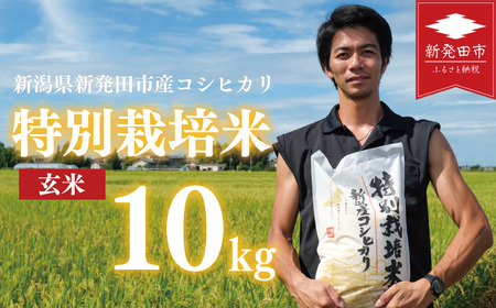 新潟産 特別栽培米 コシヒカリ 玄米 10kg 令和7年産 玄米 toushin029