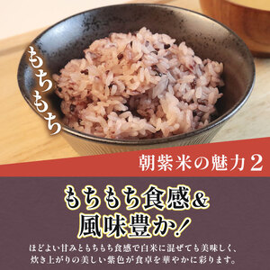 雑穀 古代米 黒米 1kg ｜ 新潟 新発田市 させ農園