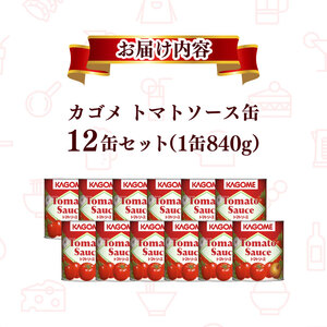 トマトソース 12個 トマト缶 レトルト レトルト レトルト レトルト レトルト レトルト maruyama003