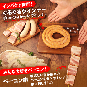 BBQセット 変わり種 4種 ぐるぐるウインナー ベーコン 餃子フランク 豚ロース 餃子 BBQ BBQ BBQ BBQ BBQ echigohamu019