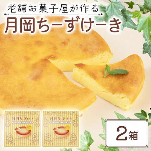 チーズケーキ 2箱 先行予約 月岡ちーずけーき チーズケーキ チーズケーキ チーズケーキ チーズケーキ seida028 4,150円