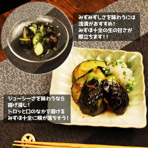 R8年産先行予約 なす 1kg 約15個 みずほ十全 なす なす なす なす なす なす nozofarm002