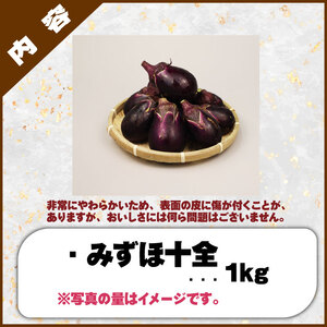 R8年産先行予約 なす 1kg 約15個 みずほ十全 なす なす なす なす なす なす nozofarm002