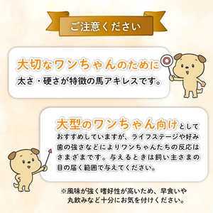 無添加 馬アキレスロング 10本 ２本入×5袋 厚め [ペットフード ドッグフード ペットフード ドッグフード] KT012