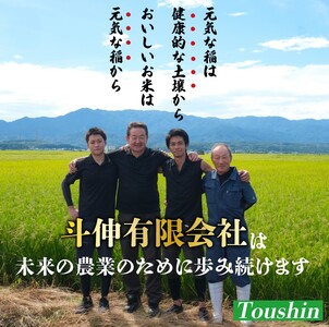 無洗米 コシヒカリ 20kg 新潟産 令和7年産 無洗米 toushin025