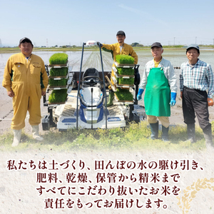 令和7年産 ミルキークイーン 10kg(2kg×5) 白米 玄米 ミルキークイーン 新発田市産 《2025年12月発送》 sasakikoki002_01_202512