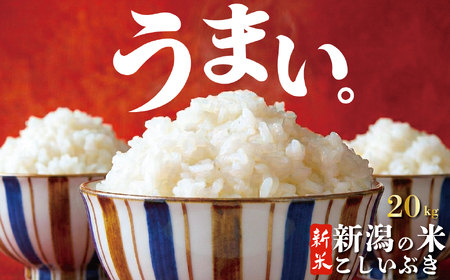 米 新米 こしいぶき 20kg 【令和7年産 新米】 新潟県 新発田市 toushin040_01