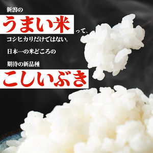 米 新米 こしいぶき 20kg 【令和7年産 新米】 新潟県 新発田市 toushin040_01