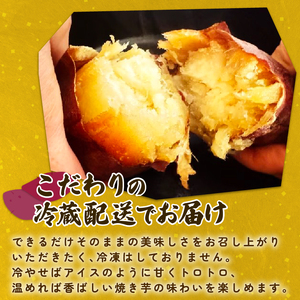 【先行受付】 焼き芋 3種 食べ比べ セット 紅はるか シルクスイート 紅あずま さつまいも 芋 おやつ お菓子 菓子 スイーツ 密たっぷり カーボン釜 特産品 野菜 つぐちゃん畑 新潟 新潟県 新発田産 新発田市 tsuguchan006