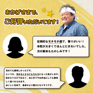 コシヒカリ 5kg 令和7年産コシヒカリ 1月 特別栽培米 新潟 プレミアム