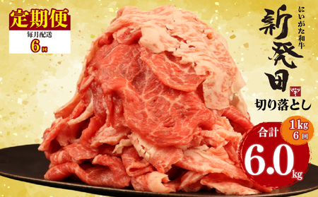 【6回定期便 】 牛肉 切り落とし 新発田牛 計6kg 切り落とし enomoto030
