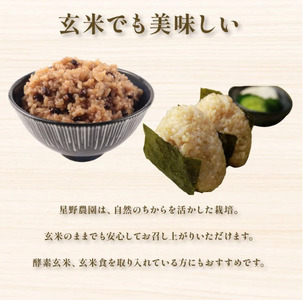 【令和7年産】【選べる 玄米 白米 】新潟産コシヒカリ 4kg(2kg×2)《発送日がわかる》 hoshino003