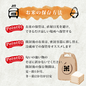 【令和7年産】【選べる 玄米 白米 】新潟産コシヒカリ 4kg(2kg×2)《発送日がわかる》 hoshino003