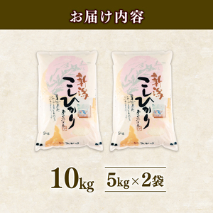 【令和7年産】 1月発送 コシヒカリ 5kg 新米 新潟 shibatafarm006_2026_01_01