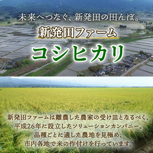 【令和7年産】 3月発送 コシヒカリ 10kg 新米 新潟 shibatafarm006_2026_03