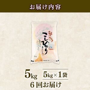 【6回定期便】令和7年産新米 コシヒカリ 5kg 定期便 精米 白米 shibatafarm008