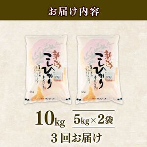 【3回定期便】令和7年産新米 コシヒカリ 10kg 定期便 精米 白米 shibatafarm009