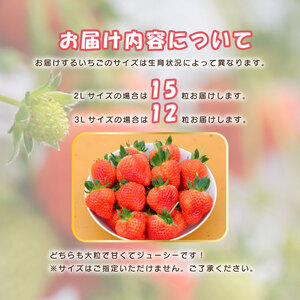 【先行予約 苺】 越後姫3L～2L 12粒 or 15粒  新発田市 苺 sugai001_01
