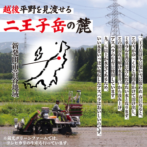 【とにかく甘い！】 訳あり アスパラガス S~Lサイズ 1kg アスパラ 甘い 太い 柔らかい 新潟 新発田 朝採り 新鮮 野菜 グリーンアスパラガス グリーンタワー 夏野菜 特産品 旬 肉 巻き 朝採れ 産地直送 農家 菅谷 ワケあり 理由あり 細め 新潟県 新発田市 蔵光グリーンファーム kuramitsu005