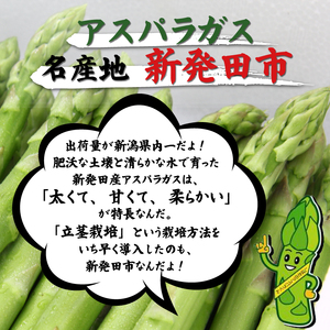 【とにかく甘い！】 訳あり アスパラガス S~Lサイズ 1kg アスパラ 甘い 太い 柔らかい 新潟 新発田 朝採り 新鮮 野菜 グリーンアスパラガス グリーンタワー 夏野菜 特産品 旬 肉 巻き 朝採れ 産地直送 農家 菅谷 ワケあり 理由あり 細め 新潟県 新発田市 蔵光グリーンファーム kuramitsu005