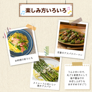 【とにかく甘い！】 訳あり アスパラガス S~Lサイズ 1kg アスパラ 甘い 太い 柔らかい 新潟 新発田 朝採り 新鮮 野菜 グリーンアスパラガス グリーンタワー 夏野菜 特産品 旬 肉 巻き 朝採れ 産地直送 農家 菅谷 ワケあり 理由あり 細め 新潟県 新発田市 蔵光グリーンファーム kuramitsu005