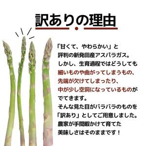 【とにかく甘い！】 訳あり アスパラガス S~Lサイズ 1kg アスパラ 甘い 太い 柔らかい 新潟 新発田 朝採り 新鮮 野菜 グリーンアスパラガス グリーンタワー 夏野菜 特産品 旬 肉 巻き 朝採れ 産地直送 農家 菅谷 ワケあり 理由あり 細め 新潟県 新発田市 蔵光グリーンファーム kuramitsu005