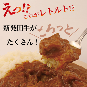 【地域に愛され30年】カレー 200g×5袋 新発田牛 ビーフ カレー enomoto016_01