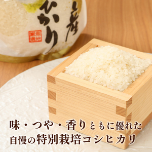 定期便 4kg×6ヵ月 特別栽培米コシヒカリ 新潟県 新潟産 新発田産 米 コシヒカリ 特別栽培米 しばもん 2kg 6ヵ月 定期便 D29_04