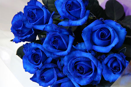 G06 生産者直送 バラの花束 神秘的な青い染めバラ10本 新潟県新発田市 ふるさと納税サイト ふるなび
