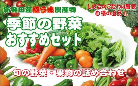季節の野菜おすすめセット　【 野菜 セット 季節 旬 新鮮 常備菜 おすすめ C31_02 】