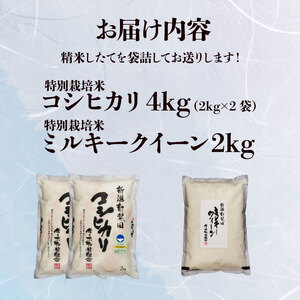 こだわりのお米 食べ比べ セット 6kg 新潟県 新発田市 お米 こしひかり ミルキークイーン 米 コシヒカリ おいしいお米 コシヒカリとミルキークイーン ミルキークイーン こしひかり お米食べ比べ D07_01