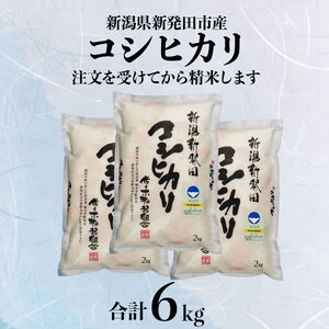 特別栽培米 コシヒカリ 6kg 新潟県こしひかり 新潟産こしひかり 新発田産こしひかり お米 こしひかり 2kg 3袋 米 D08_01 