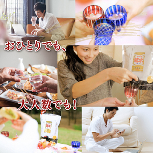 日本酒 菊水 ふなぐちスマートパウチ 1.5L×6本 セット 日本酒 日本酒 日本酒 日本酒 日本酒 E113_01