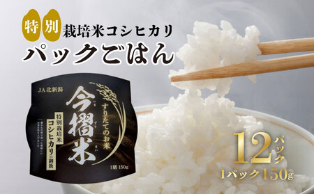 JA北越後特別栽培米コシヒカリ（今摺米パックごはん12個）パックご飯 パックご飯 パックご飯 パックご飯 パックご飯 パックご飯 D66 
