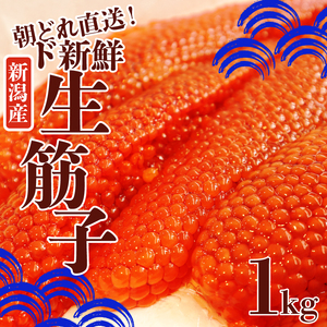 令和6年産 生筋子 1kg【 いくら 鮭 生いくら 海鮮 鮮魚 朝どれ 朝採れ とれたて 国産 新潟県産 お正月 おせち 年末 年始 贈答 いくら  はらこ 筋子 J41_01 】 | 新潟県新発田市 | ふるさと納税サイト「ふるなび」