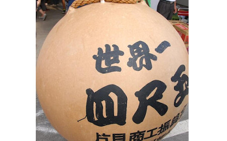 魚沼産コシヒカリ 5kg×6回隔月お届け 米萬商店 | 30kg 定期便 新潟県 魚沼 令和7年