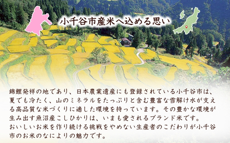 魚沼産コシヒカリ 5kg2袋×6回隔月お届け 米萬商店 | 60kg 定期便 新潟県 魚沼 令和7年