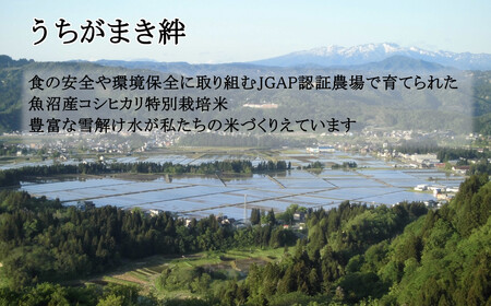 11P2 魚沼産コシヒカリ2ｋｇ2袋 特別栽培米食べ比べセット（Mt.ファーム わかとち）（うちがまき絆）