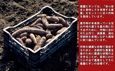 紅はるか 冷凍焼き芋 4袋(約1kg)