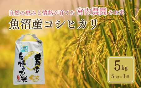 魚沼産こしひかり 5kg 宮内農園 / 魚沼地域 こしひかり 5kg