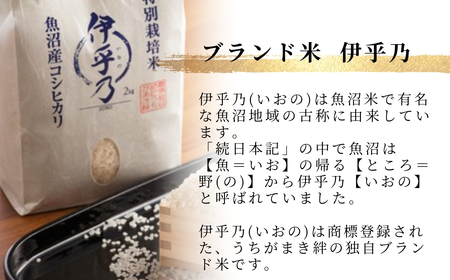 魚沼産コシヒカリ 特別栽培米「伊乎乃」 3kg×3か月連続お届けうちがまき絆 | 9kg 新潟県 魚沼 令和7年