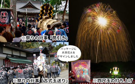 おぢやおかき ホットサラダ(片貝花火デザイン) 8袋セット 竹内製菓