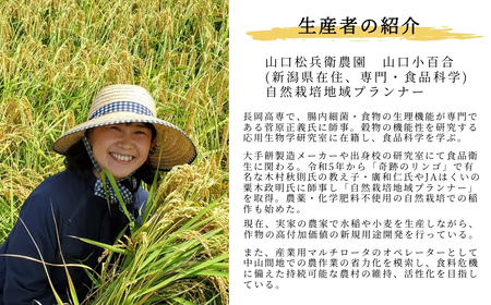 魚沼産コシヒカリ 5kg 山口松兵衛 従来品種 | 新潟県 魚沼 令和7年