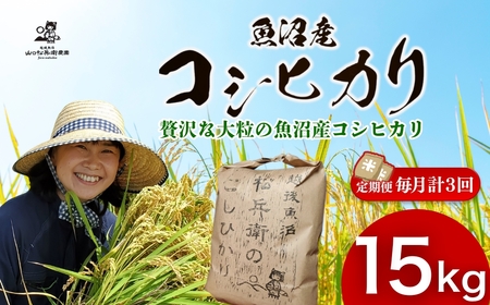 魚沼産コシヒカリ 5kg×3か月連続お届け 山口松兵衛 従来品種 | 15キロ 定期便 新潟県 魚沼 令和7年